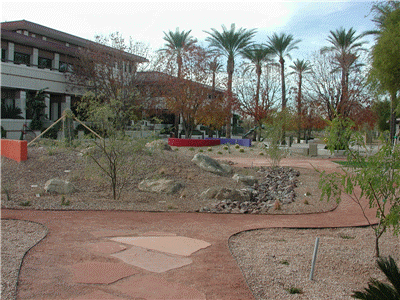 Peoria Desert Fusion Garden